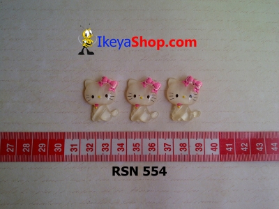 rsn 554  large2